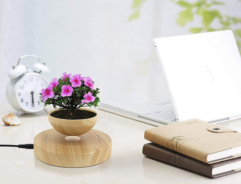 Desk Gift Items for Every Type of Home or Office